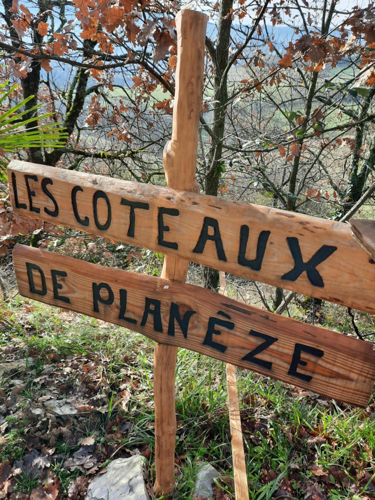 Les Coteaux De Planeze, Chambre Pour 2, 3 Ou Famille Nombreuse 2 Adultes 5 Enfants Et Jeunes Belmont-Bretenoux Eksteriør billede